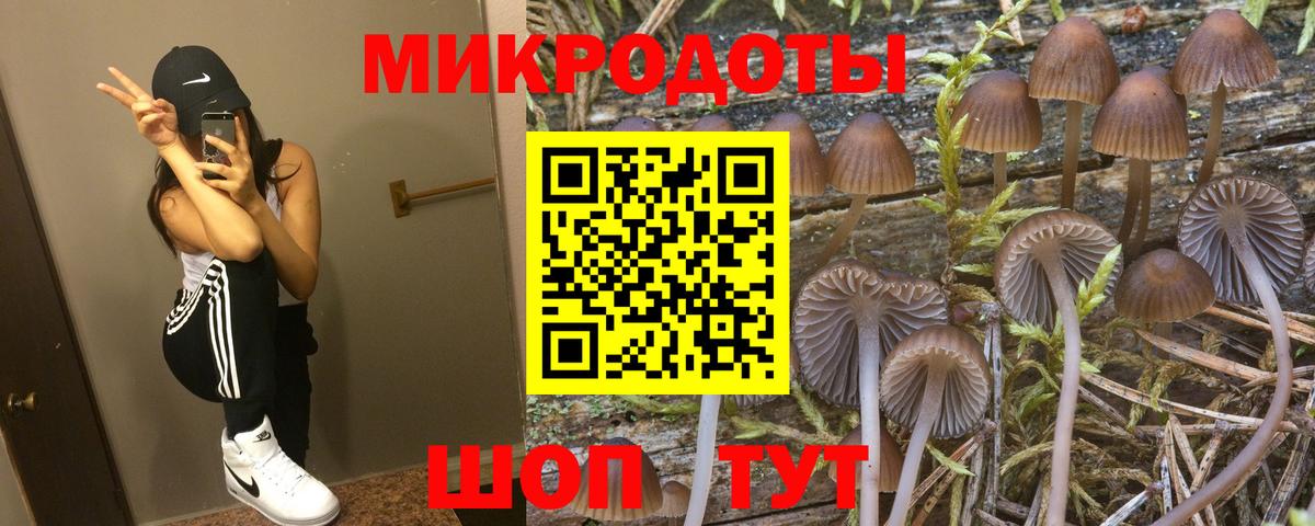 наркота  Галлюциногенные грибы мицелий  Вольск  Вход с VPN  Псилоцибиновые грибы мухоморы 