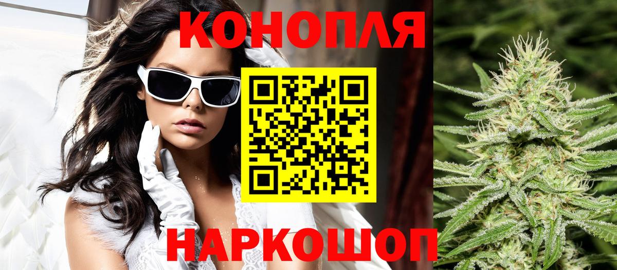 Бошки Шишки план  Вход с VPN  Вольск  Каннабис гибрид  Бошки Шишки тримм 